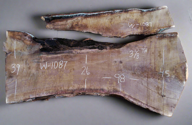 Black Walnut - W1087