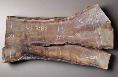 Black Walnut - W1088