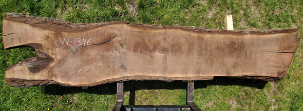 Black Walnut - W1346