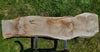 Black Walnut - W1352