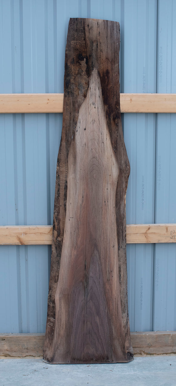 Black Walnut - A175