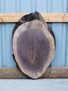 Black Walnut - A206