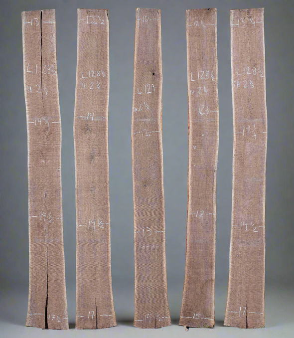 Black Walnut Flitch - WF001