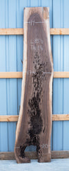 Black Walnut - S1103