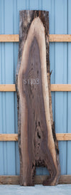 Black Walnut - S1103