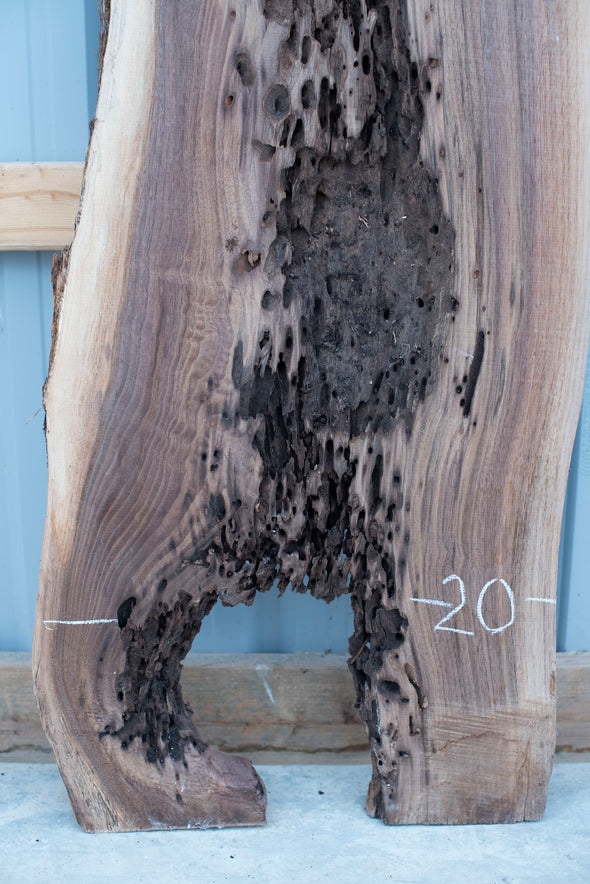 Black Walnut - S1103