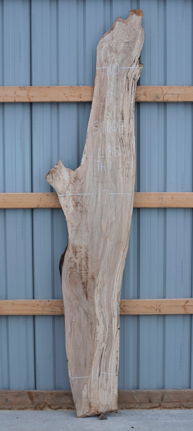Spalted Maple - S1107