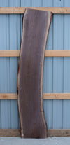 Black Walnut - S1111