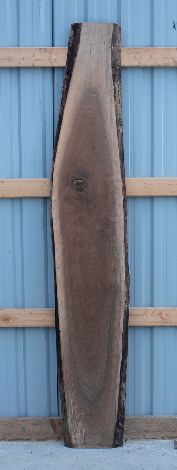 Black Walnut - S1119