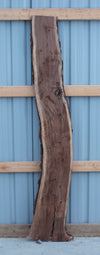 Black Walnut - S1122