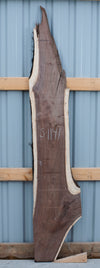 Black Walnut - S1141