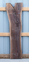 Black Walnut - S1147