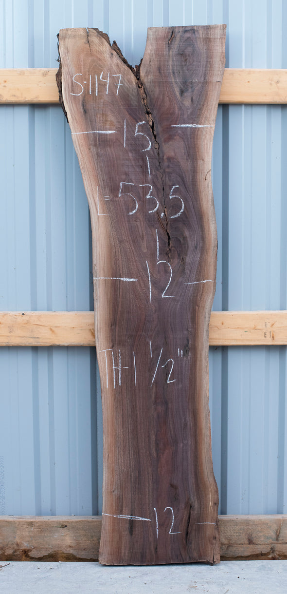 Black Walnut - S1147