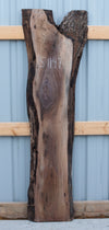 Black Walnut - S1147