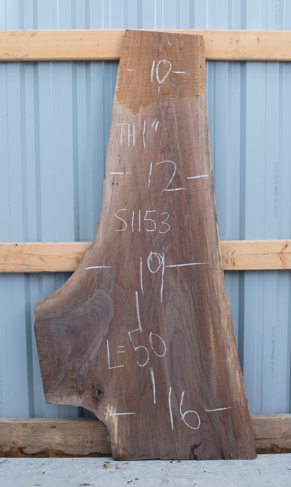 Black Walnut - S1153