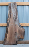 SOLD - Black Walnut - S1153