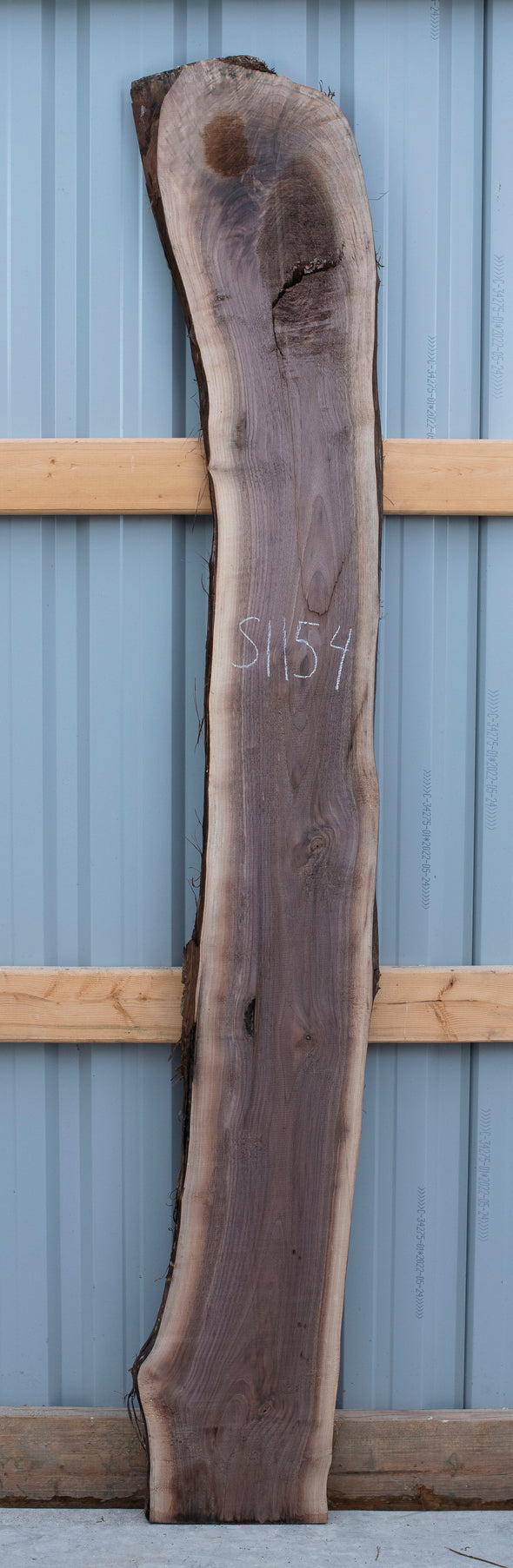 Black Walnut - S1154