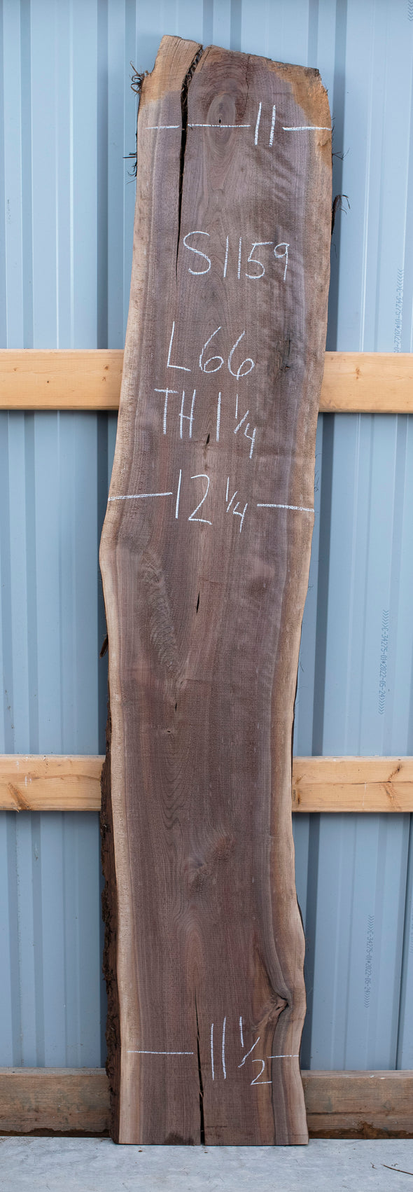 Black Walnut - S1159