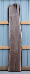 Black Walnut - S1159