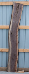 Black Walnut - S1163