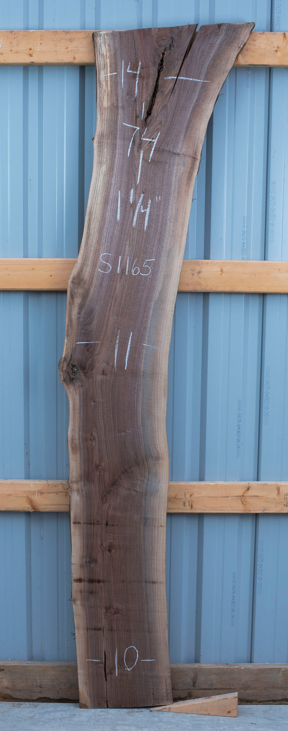 Black Walnut - S1165