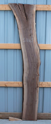 Black Walnut - S1165