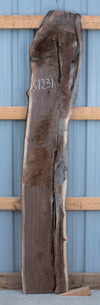 SOLD - Black Walnut - S1231