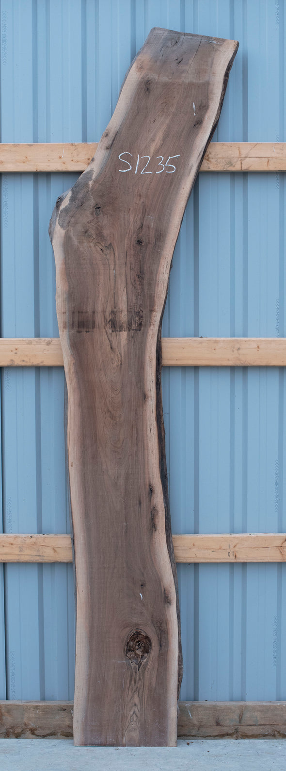 Black Walnut - S1235