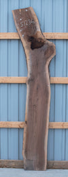 Black Walnut - S1236