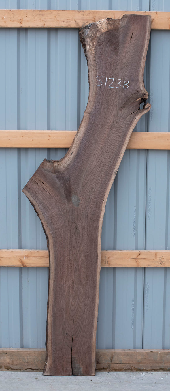 Black Walnut - S1238