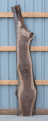 Black Walnut - S1241