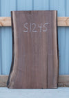 Black Walnut - S1245