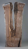 Black Walnut - S1249