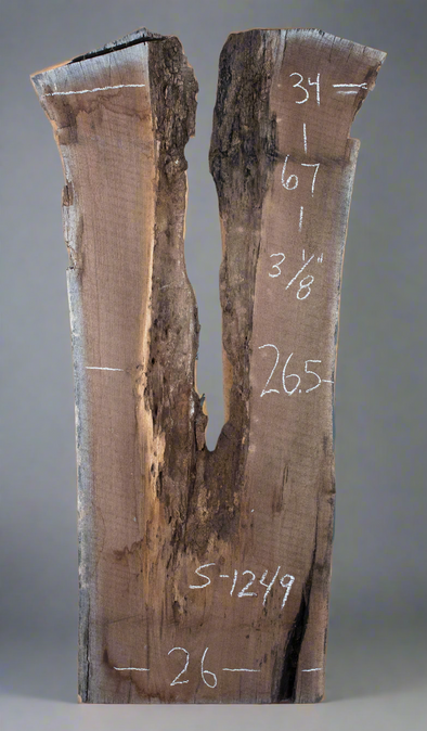 Black Walnut - S1249