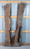 Black Walnut - S1250