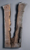 Black Walnut - S1250