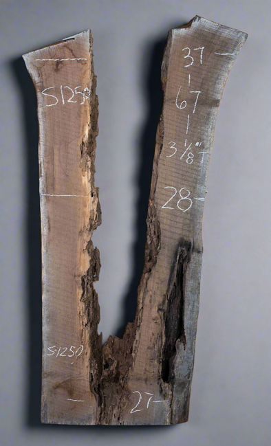 Black Walnut - S1250