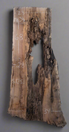 Black Walnut - S1251
