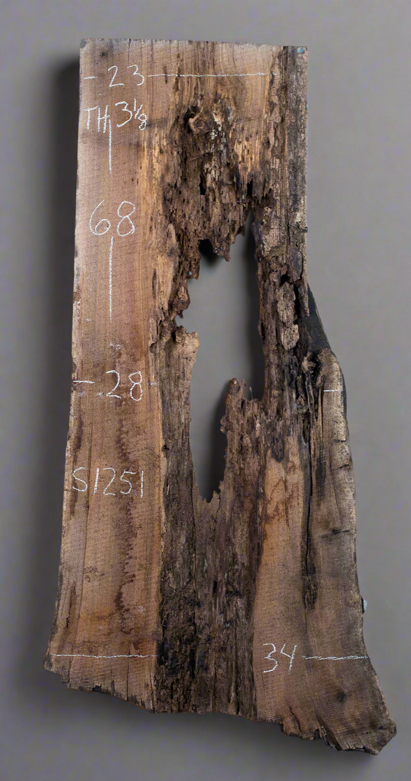 Black Walnut - S1251