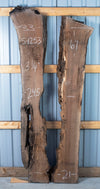 Black Walnut - S1253