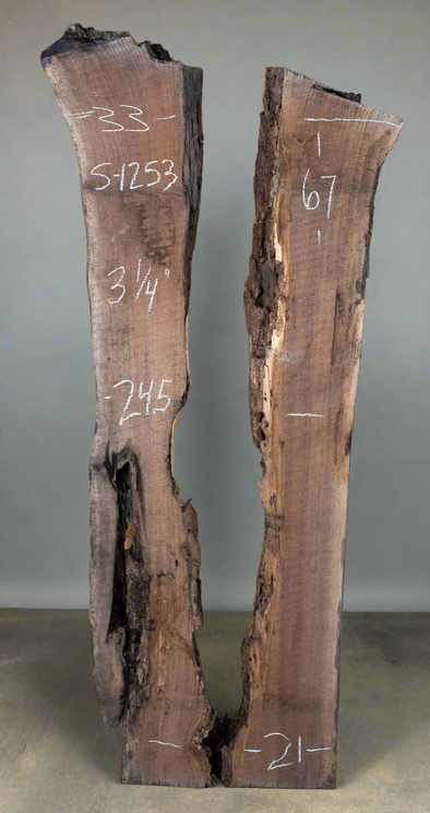 Black Walnut - S1253