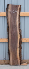 Black Walnut - S1254