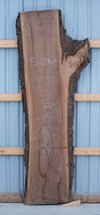 SOLD - Black Walnut - S1268