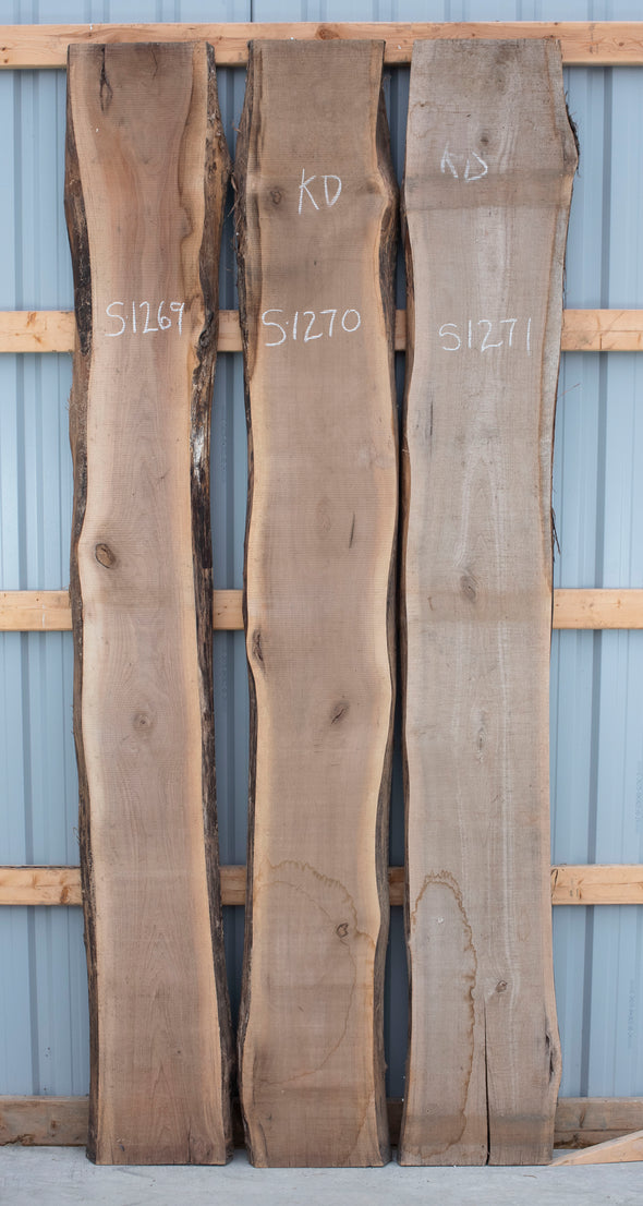 Black Walnut - S1269, Black Walnut - S1270, & Black Walnut - S1271 Trio