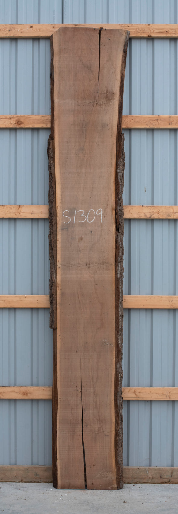 Black Walnut - S1309