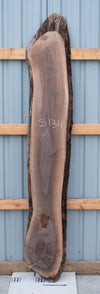 Black Walnut - S1311