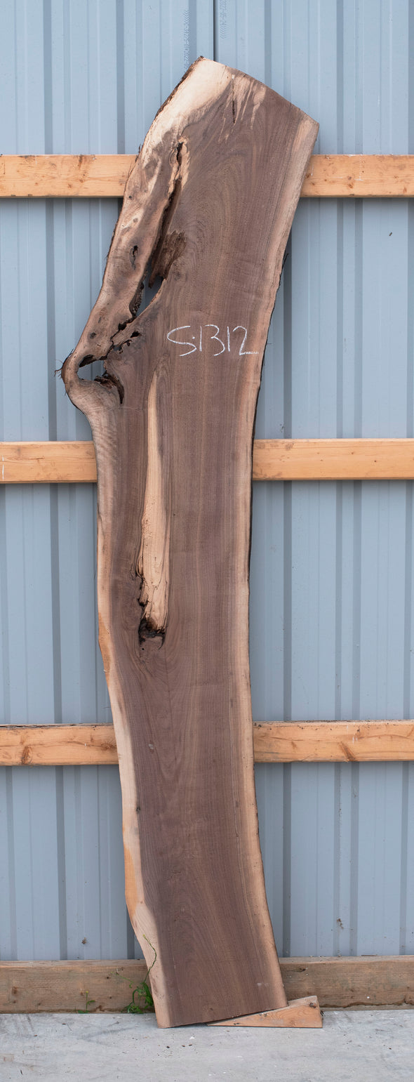 Black Walnut - S1312