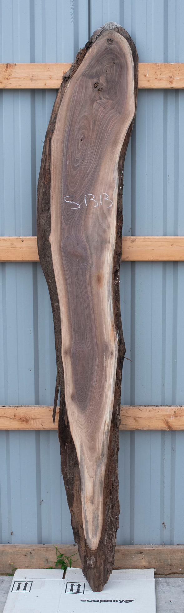 Black Walnut - S1313