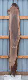 Black Walnut - S1314