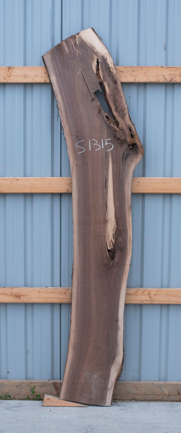 Black Walnut - S1315